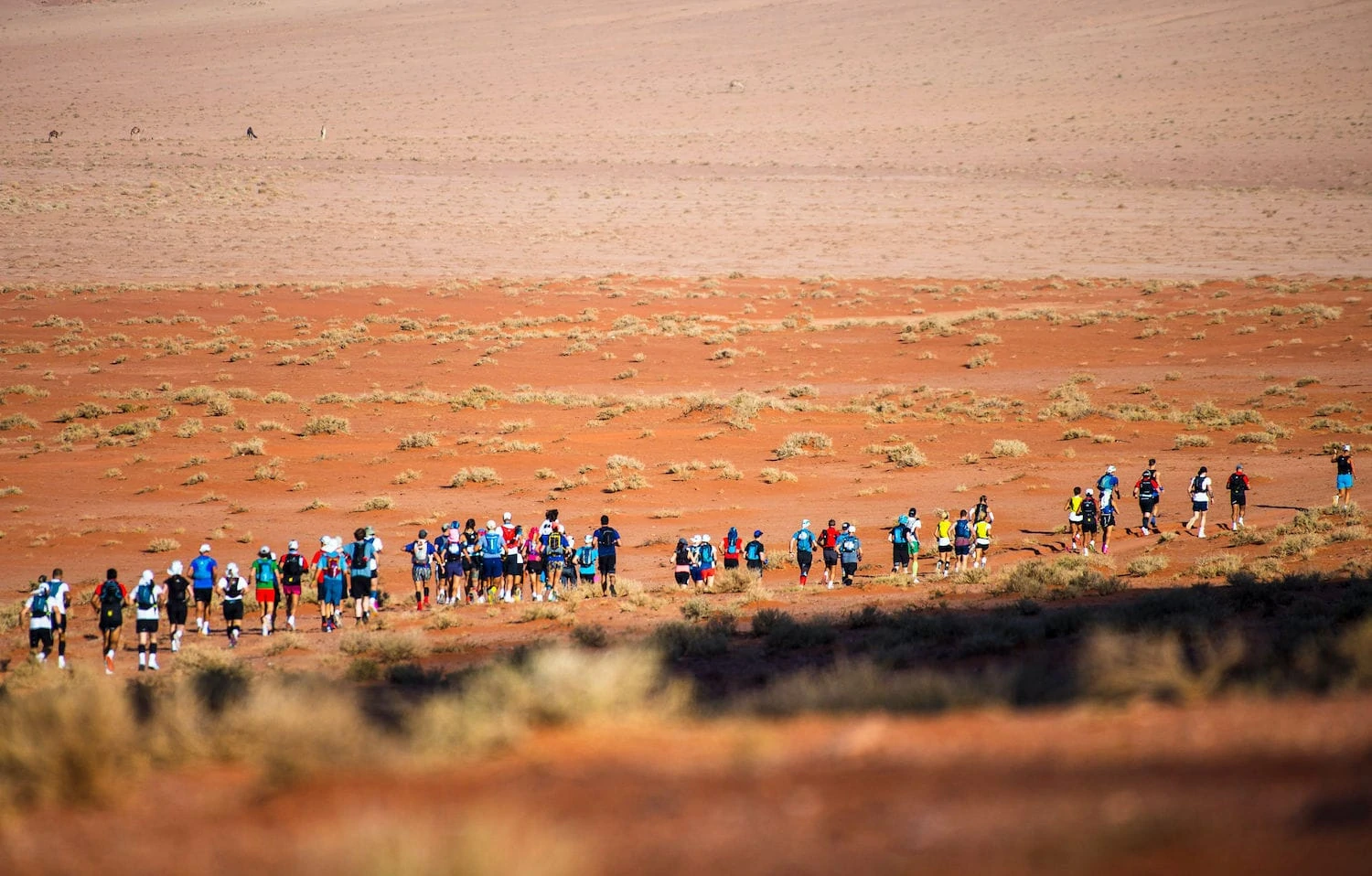 Competition: World’s Best Ultra Marathon Training Camp