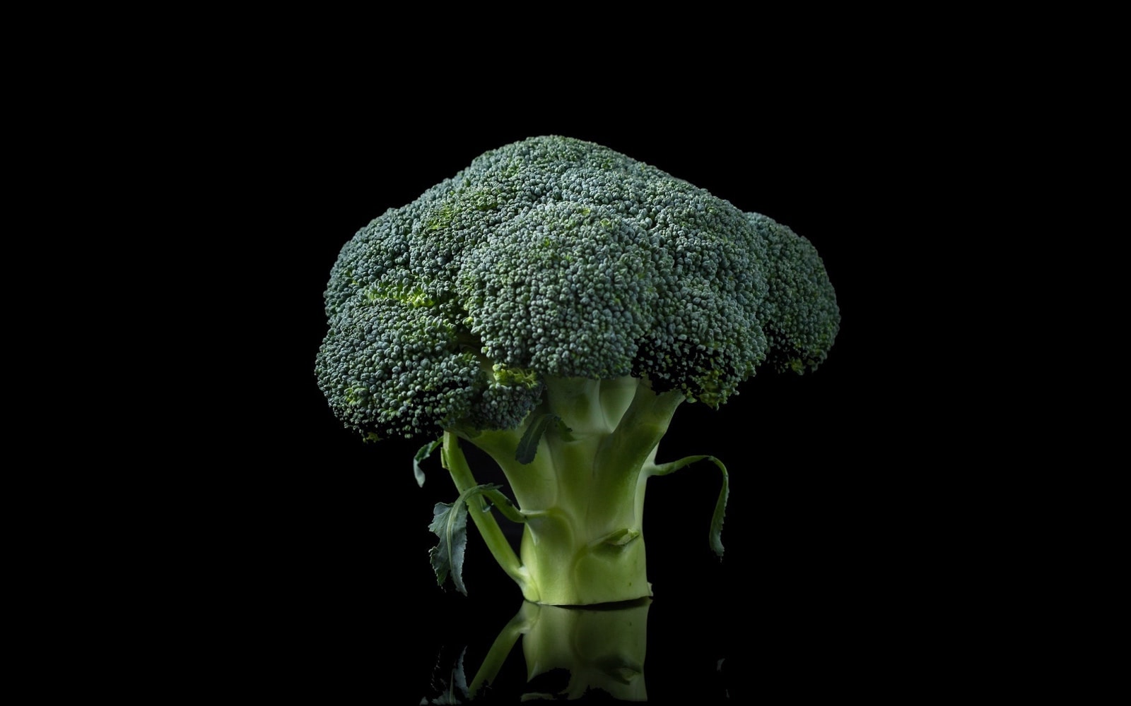 The Rise Of Veganism Within Ultra Running