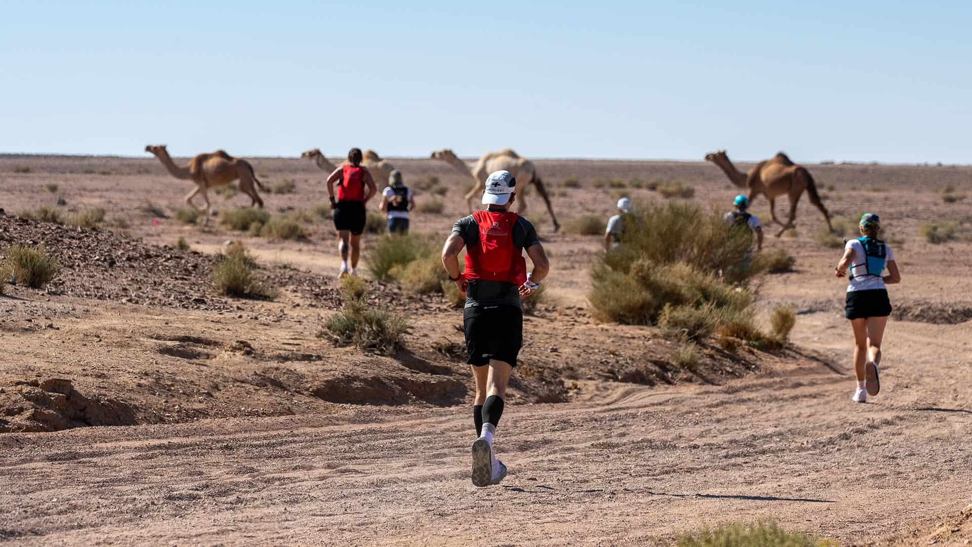 Ultra X Jordan 2022: Race Directors Report