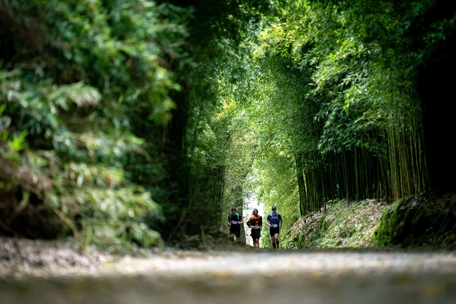 The Allure of Barkley Marathons